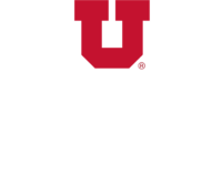 GPI DESB logoWhite Vert